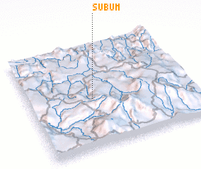 3d view of Subum