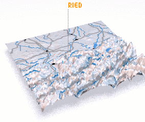 3d view of Ried
