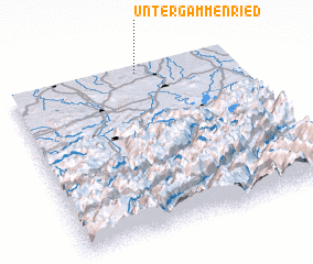 3d view of Untergammenried