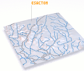 3d view of Esactom