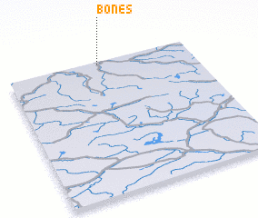 3d view of Bones