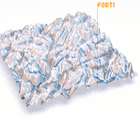 3d view of Forti