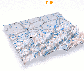 3d view of Burk