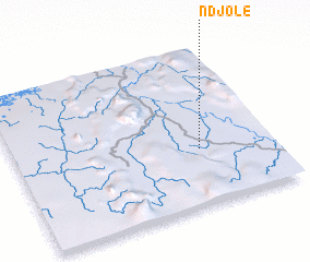 3d view of Ndjolé