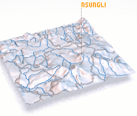 3d view of Nsungli