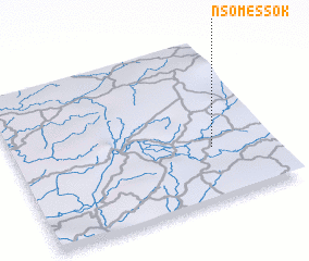 3d view of Nsomessok