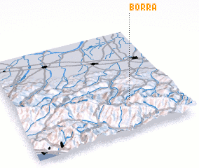 3d view of Borra