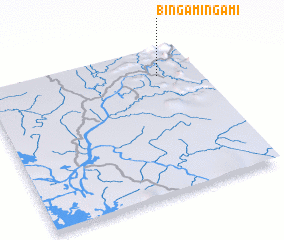 3d view of Bingamingami