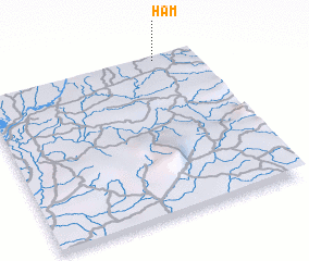 3d view of Ham