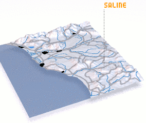 3d view of Saline