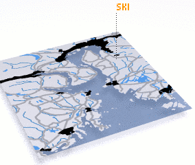 3d view of Ski