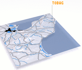 3d view of Tobag