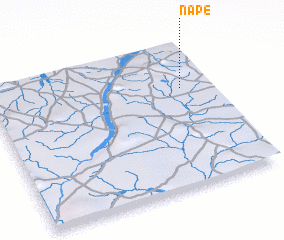 3d view of Nape