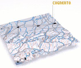 3d view of Cognento