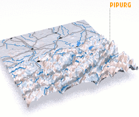 3d view of Pipurg