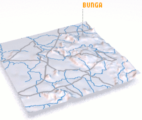 3d view of Bunga