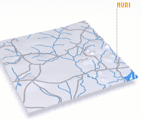 3d view of Muri