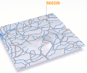 3d view of Nkosim