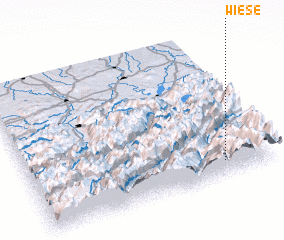 3d view of Wiese