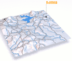 3d view of Njinka