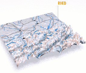 3d view of Ried