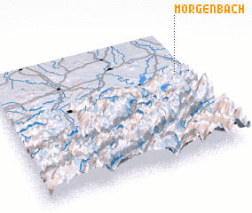 3d view of Morgenbach