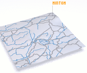 3d view of Mintom