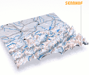 3d view of Sennhof