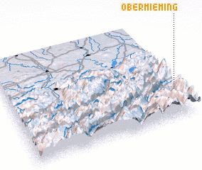 3d view of Obermieming