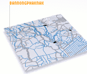 3d view of Ban Nong Phak Nak