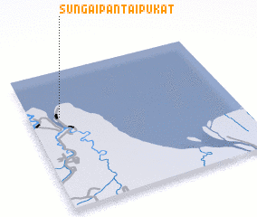 3d view of Sungaipantaipukat