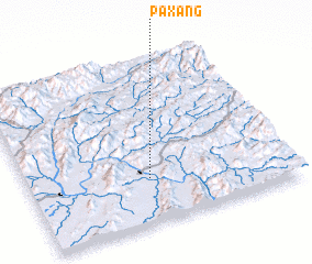 3d view of Paxang