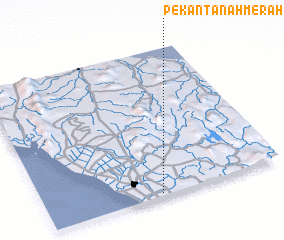3d view of Pekan Tanah Merah