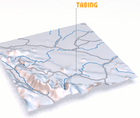 3d view of Tabing