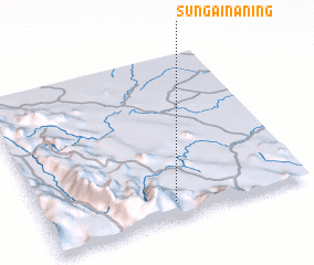 3d view of Sungainaning