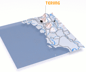 3d view of Terung