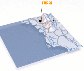 3d view of Tupai