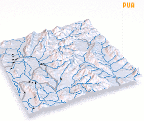 3d view of Pua