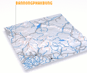 3d view of Ban Nong Phak Bung