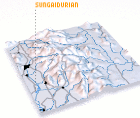 3d view of Sungai Durian