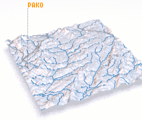 3d view of Pako