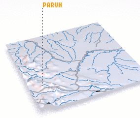 3d view of Paruh