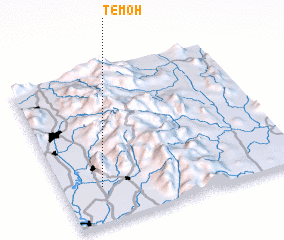 3d view of Temoh