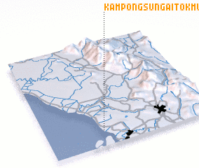 3d view of Kampong Sungai Tok Muda