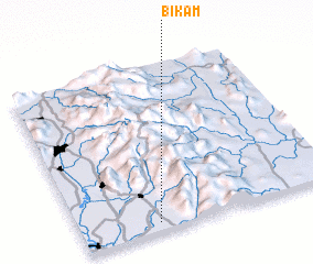 3d view of Bikam