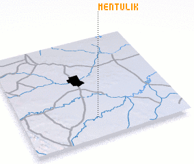 3d view of Mentulik