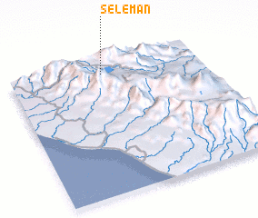 3d view of Seleman