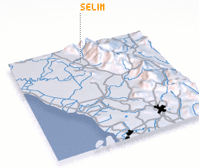 3d view of Selim
