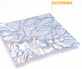 3d view of Dusunbaru