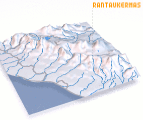 3d view of Rantaukermas